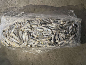 Занимаемся оптовой продажей рыбы в Украине,Черкассы