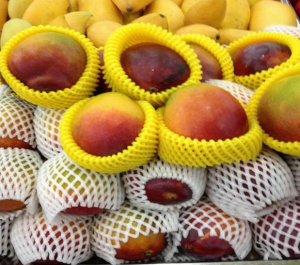 Машина по производству упаковочных сеток для защиты фруктов