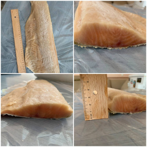 филе лосося для промышленной переработки
