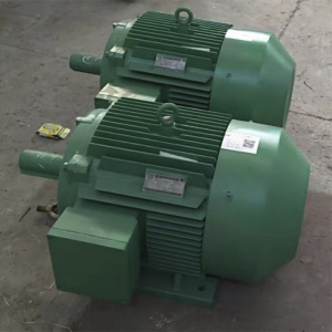 Электродвигатель YQ-315L2-8