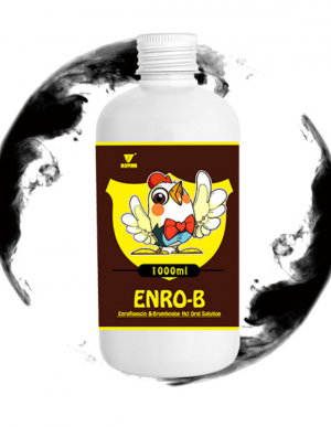 Enro B Энрофлоксацин 200 мг Бромгексин Hcl 15 мг Раствор для орального применения