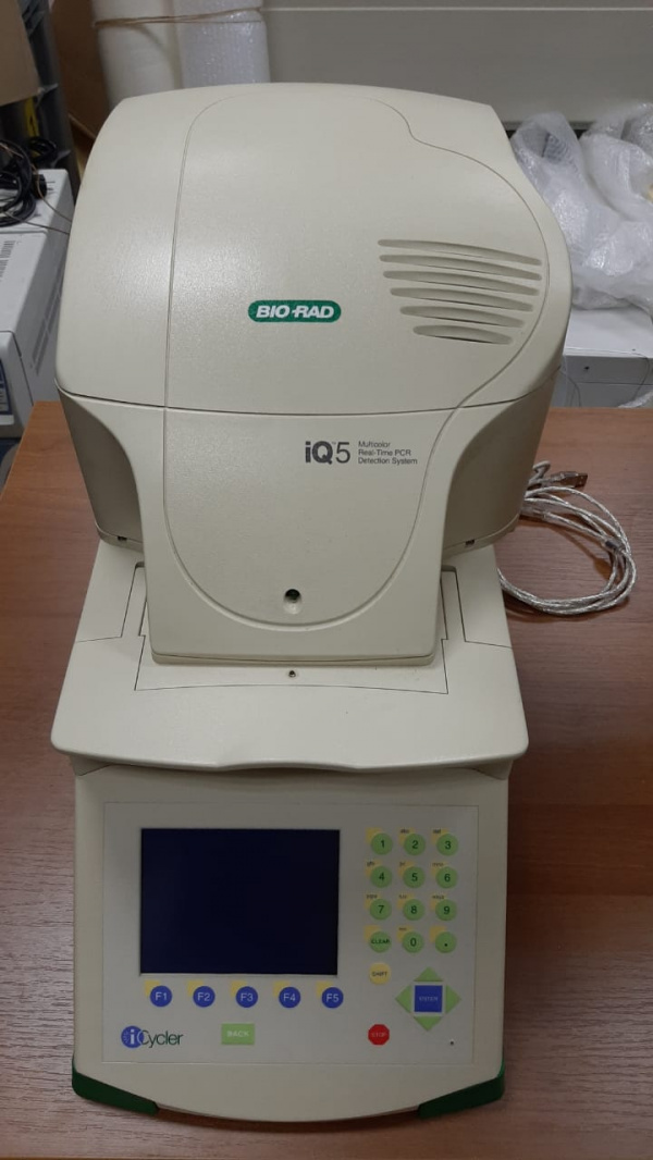 Амплификатор Bio Rad IQ 5