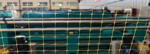 Линию для производства шпалерной сетки DY-BO-75×30