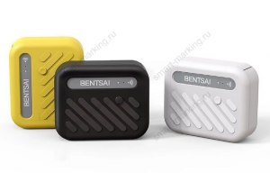 BENTSAI Mini B10 ручной портативный термоструйный принтер (Wi-Fi)