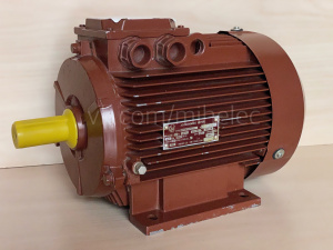 Электродвигатель Rimex Switzerland 4 кВт, 2880 об/мин 380V (220V)