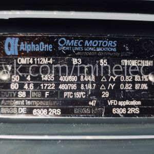 Электродвигатель Alpha One Omec motors 4 кВт, 1435 об/мин, 380V (400V) лапы