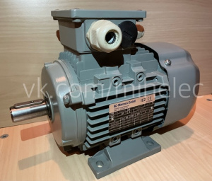 Электродвигатель AC-Motoren GmbH, тип ACA 90S-2/HE, 1.5 кВт 2890 оборотов