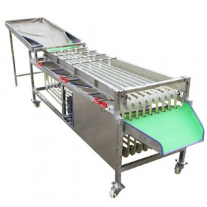 Машина для сортировки/калибровки овощей и фруктов Vega Sorting 2000