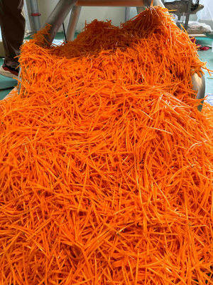 Промышленная овощерезка для нарезки корейской моркови Vega Strip Slicer 3000
