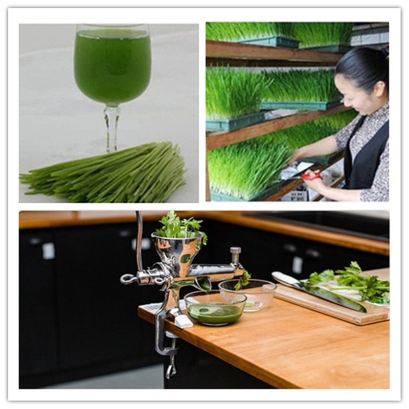 Соковыжималка ручная шнековая AKITAJP wheatgrass juicer manual SS сок ...