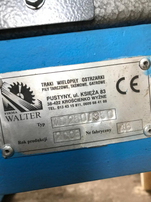 Walter WD-250/350 станок многопильный двухвальный