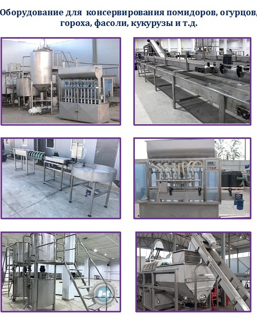 Оборудование для консервирования овощей, фруктов, ягод