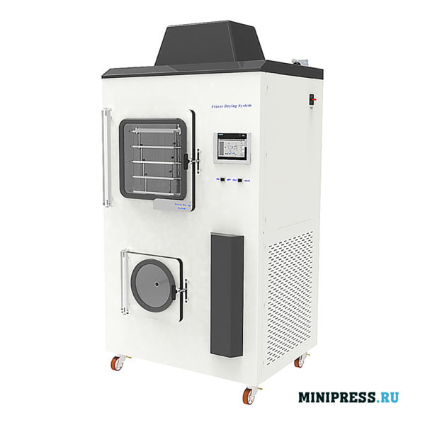 Вакуумная лиофильная сублимационная сушилка RL-06 купить в Москве ...