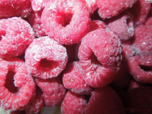 Камера шоковой флюидизационной заморозки ягод, фруктов, овощей, грибов