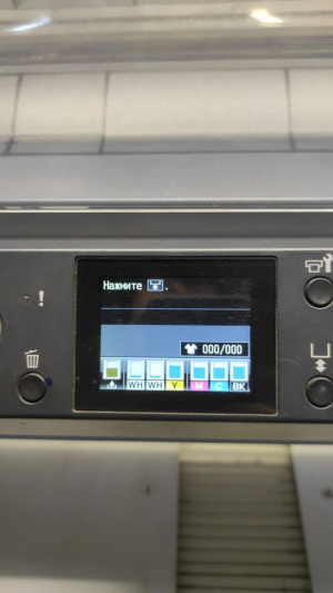 Текстильный принтер Epson SureColor SC-F2000