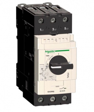 Выключатель автоматический для защиты двигателя 48-65А P60 Schneider Electric GV3P65