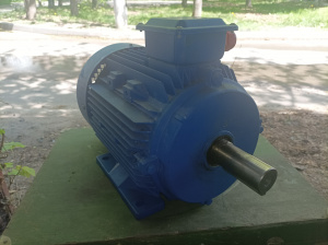 Электродвигатель АИР132М4 (11х1500)