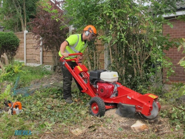 Измельчители пней (фреза для пней) Fsi Stump Cutters (Дания)