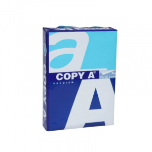 Hot Sell Double A A4 Paper 80gsm Copy Paper 500 Sheet Ream for Printing Office