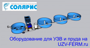 Узв на 1 тонну осетра в год