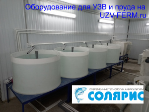 УЗВ на 50 тонн осетра в год