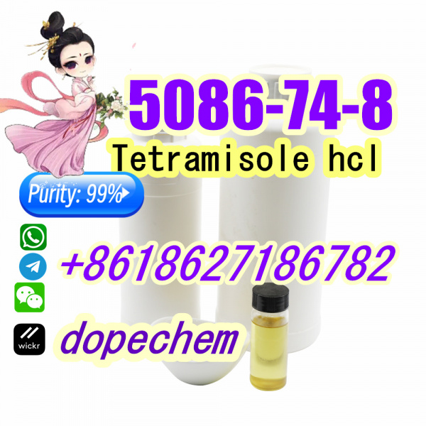 Tetramisole hydrochloride 5086-74-8 Safe Delivery Factory Price