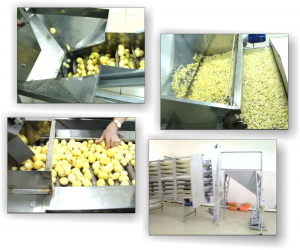 тоннельные флюидизационные камеры шоковой заморозки продуктов и конвейер охладитель для хлебобулочных изделий
