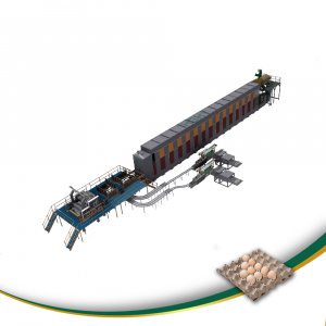 оборудование для производства лотков для яиц
