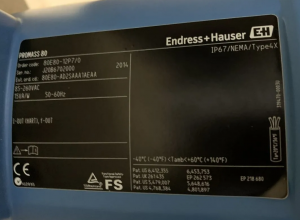 Endress + Hauser promass DN80