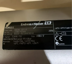 Endress + Hauser promass DN80