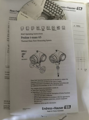 Термально массовый расходомер Endress Hauser DN25