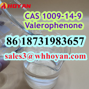 CAS 1009-14-9 Valerophenone factory safe delivery to Russia/Kazakhstan/Ukraine