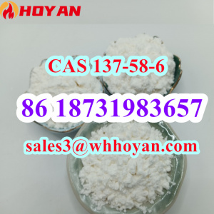 CAS 137-58-6 Lidocaine white powder High Purity Good Price