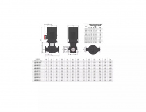 Вертикальный центробежный насос Fancy FTD200-24/4