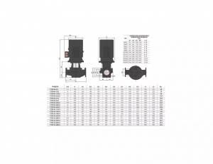 Вертикальный центробежный насос Fancy FTD125-48G/4