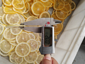 Машина для нарезки чипсов из фруктов Vega Belt Cutter H20
