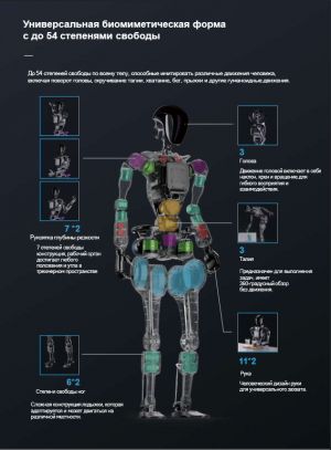 Робот гуманоид