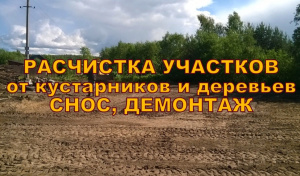 Благоустройство территорий в Воронеже расчистка поросли