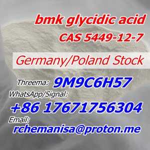 Bmk Glycidic Acid CAS 5449-12-7/41232-97-7 BMK