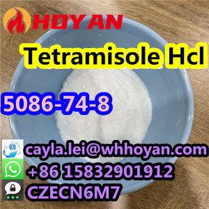 99% High Purity CAS 5086-74-8 Tetramisole hydrochloride Powder for Anthelmintic What's up:+86 15832901912