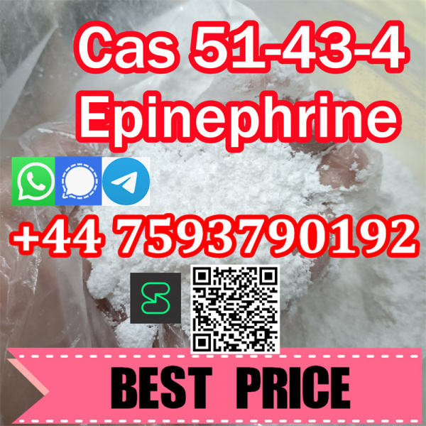 L-Epinephrine 51-43-4 chemical raw powder