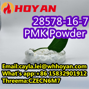 Superior Quality CAS 28578–16–7 Pure PMK Powder Pmk Oil in Favorable Price WA:0086 15832901912