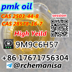 CAS 28578-16-7 PMK Ethyl Glycidate CAS 2503-44-8 Canada/USA Stock