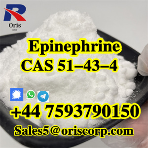 CAS 51-43-4 Pharmaceutical API Raw Material Adrenaline 99% L-Epinephrine Powder