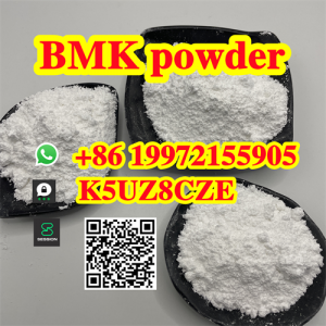 Cas 5449-12-7 bmk BMK Glycidic Acid (sodium salt) with 85% oil yield