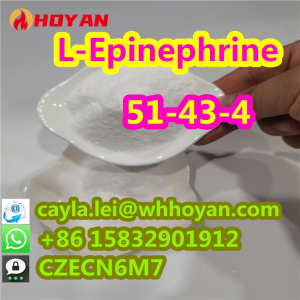 Best Price L-Epinephrine Powder CAS:51-43-4 with Safe Fast Delivery WA:+86 15832901912