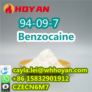 High Purity Benzocaine Powder CAS 94-09-7 for Local Anaesthetic WA:0086 15832901912