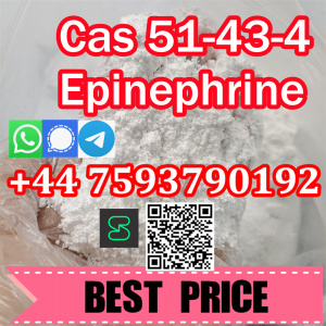 L-Epinephrine 51-43-4 chemical raw powder