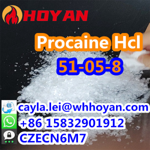 Bulk Price Local anesthetic Procaine Hcl CAS:51-05-8 with Good effect What's up:0086 15832901912