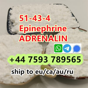 new arrival cas 51-43-4 Epinephrine powder